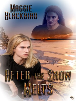cover image of After the Snow Melts